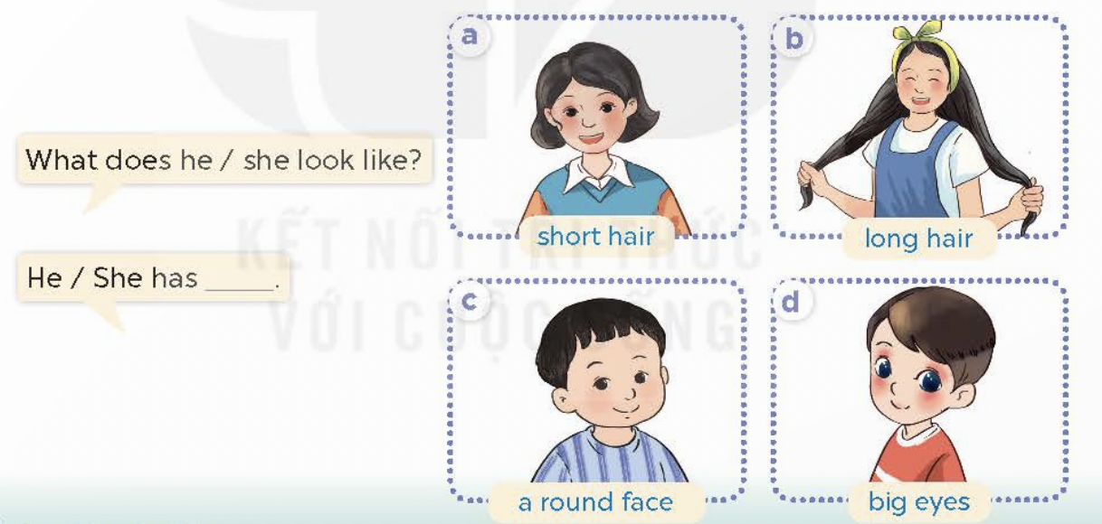 Học tiếng Anh lớp 4 Unit 13 Lesson 2 có gì quan trọng? (Nắm chắc từ vựng ngữ pháp)