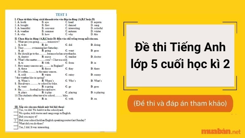 Tổng hợp đề thi tiếng anh lớp 5 cuối học kì 2 hay, có đáp án chi tiết.