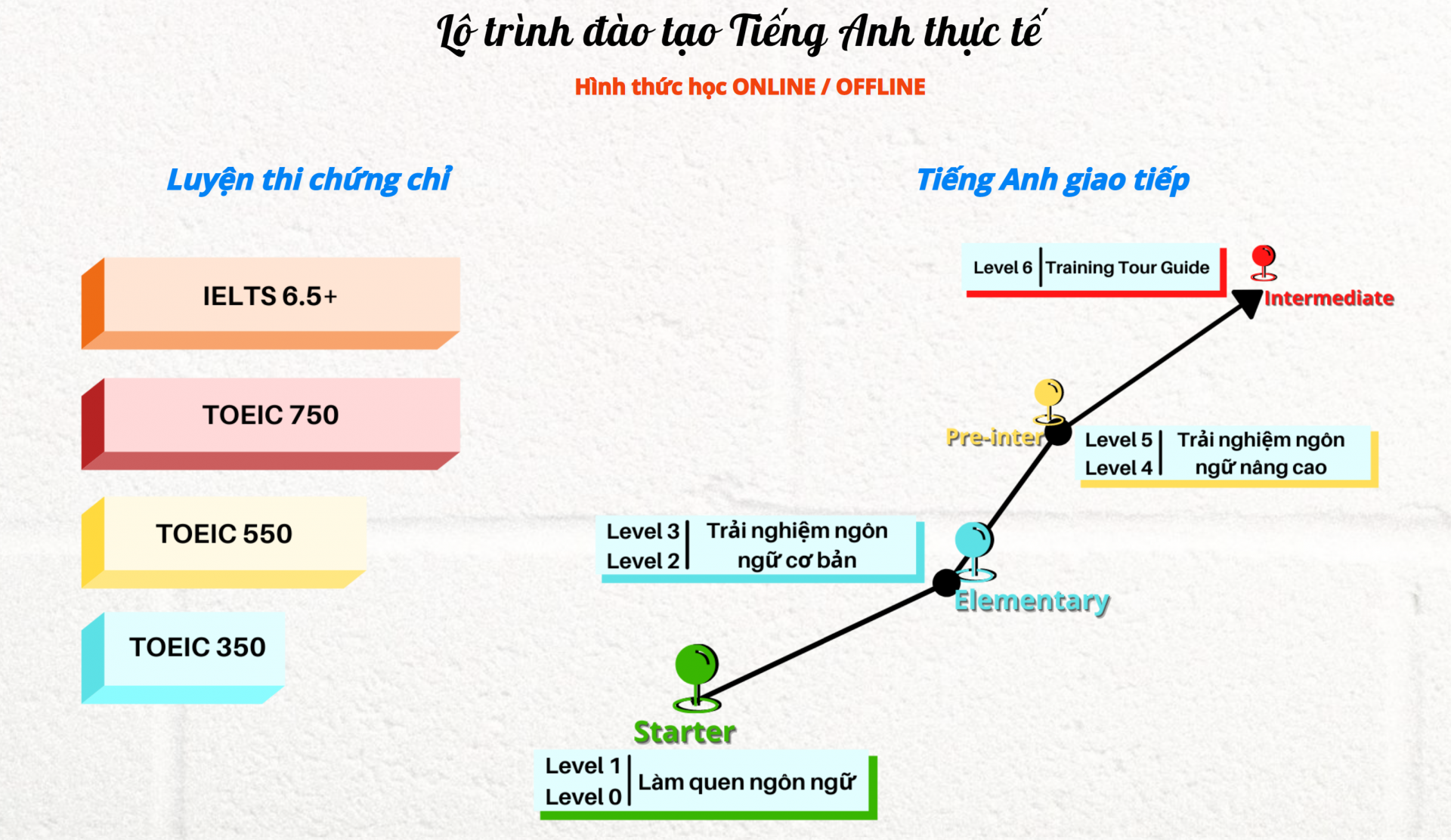 Lộ Trình Học Tiếng Anh Giao Tiếp Cho Người Đi Làm Thấy Hiệu Quả Sớm