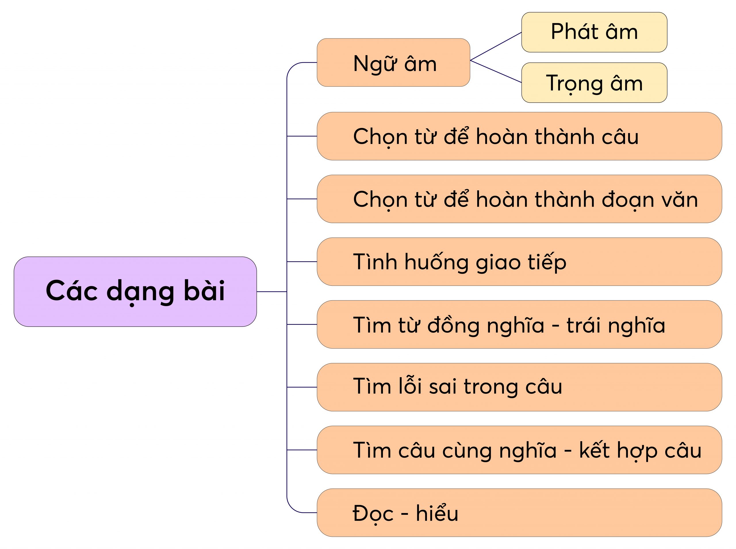 Luyện đề thi tiếng anh lớp 8 thế nào cho giỏi? Mẹo hay giúp bạn điểm cao.