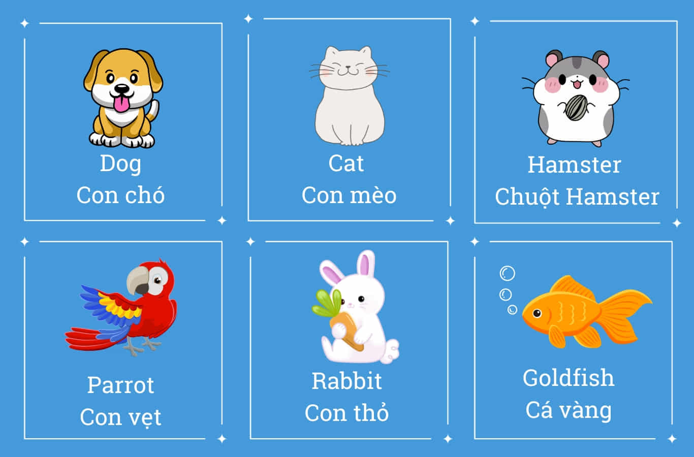 Từ vựng tiếng anh cơ bản cho người mới học cùng mẹo học thú vị