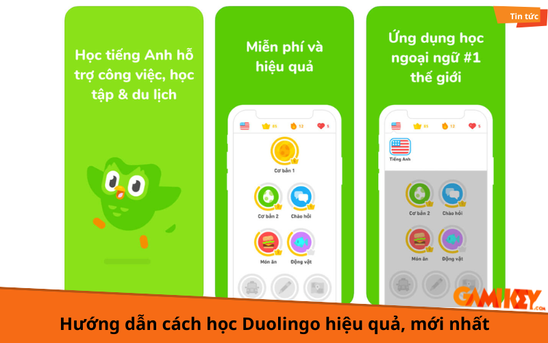 Duolingo học tiếng Anh miễn phí như thế nào? Hướng dẫn chi tiết cho người mới.