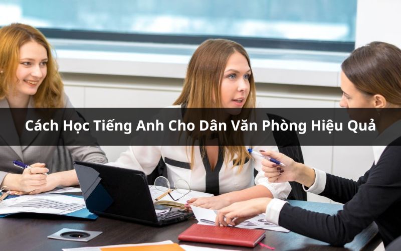 Cách Học Tiếng Anh Hiệu Quả Cho Dân Văn Phòng: Lộ Trình 8 Tuần Nắm Vững Căn Bản
