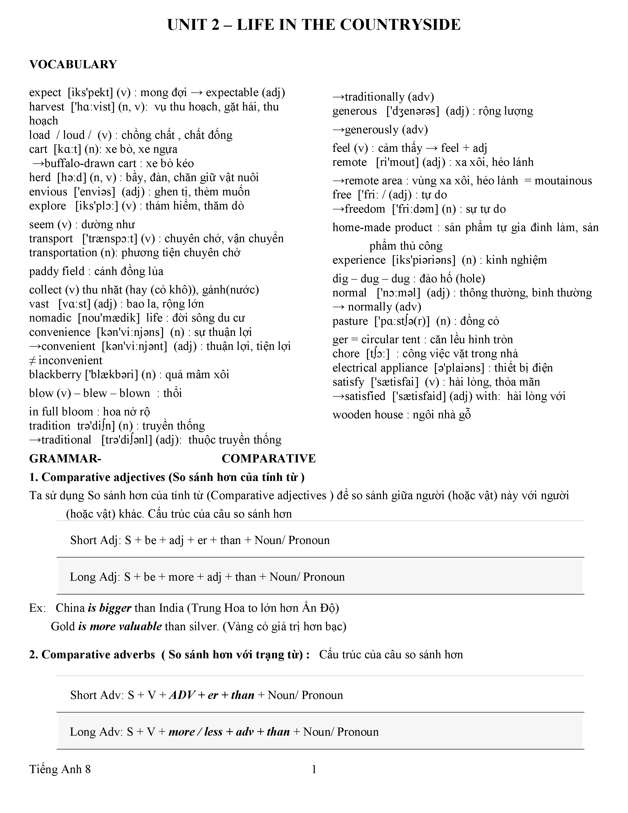 Bài tập tiếng anh lớp 8 unit 2 hay và khó ở đâu? Tuyển chọn các dạng thường gặp.