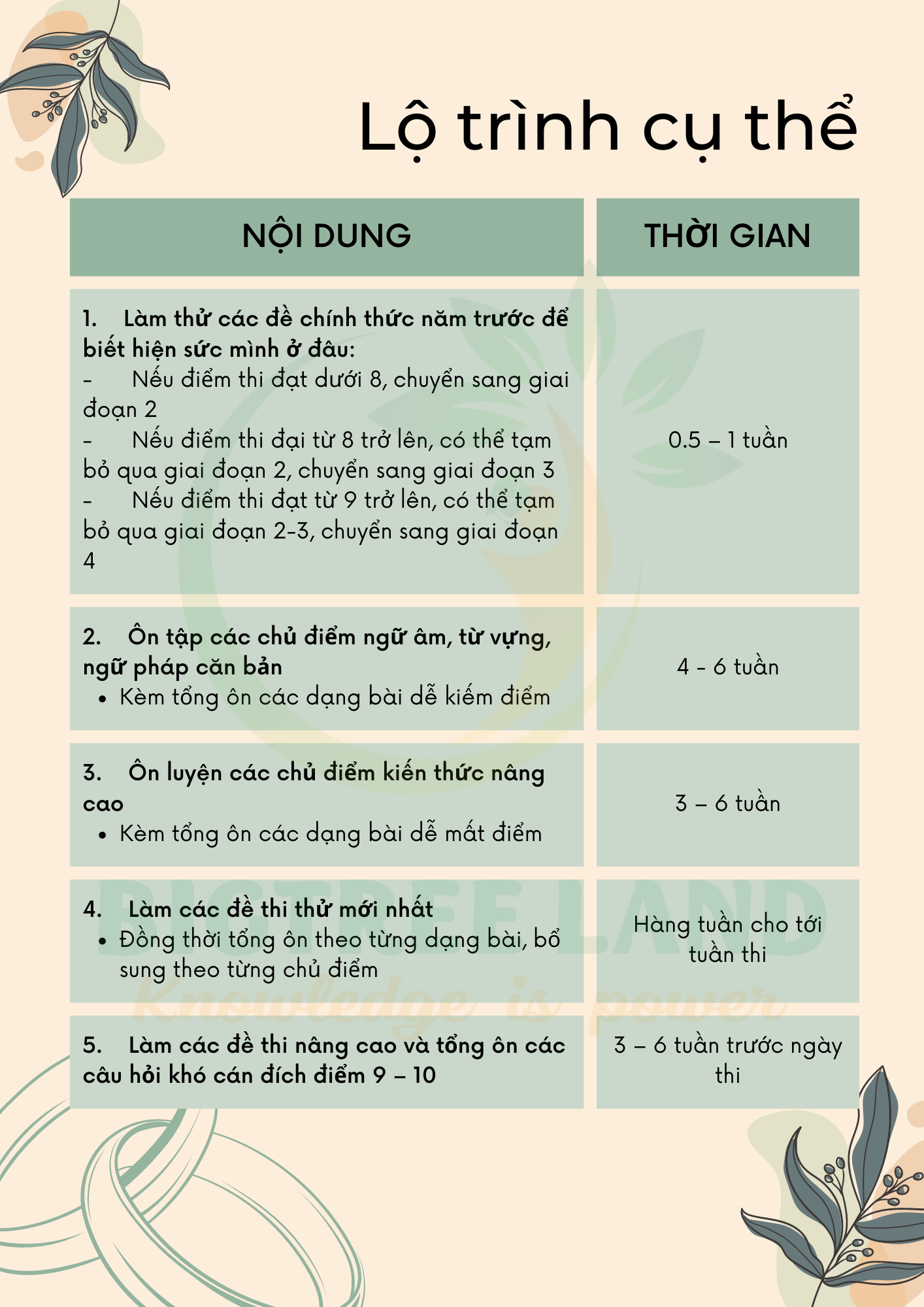 Làm sao ôn thi đề tiếng anh lớp 6 điểm cao? (Bí kíp học giỏi cho con đây)