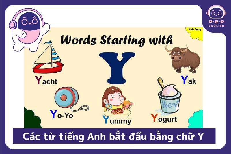 Từ Vựng Tiếng Anh Bắt Đầu Bằng Chữ Y Cho Người Mới Học Nhanh