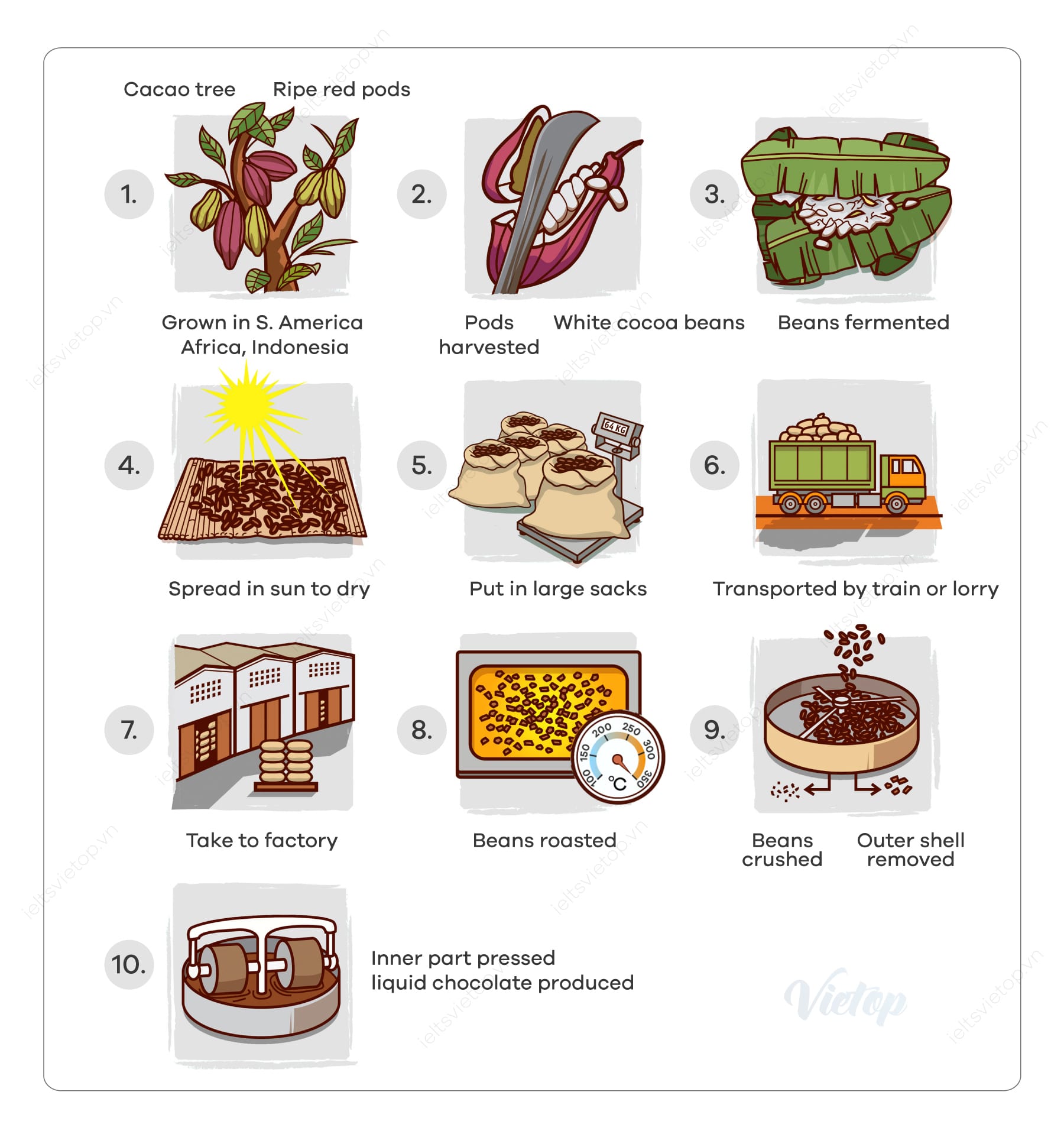 Giải đề Writing Task 2 ngày 16/01/2021 - Topic: Food