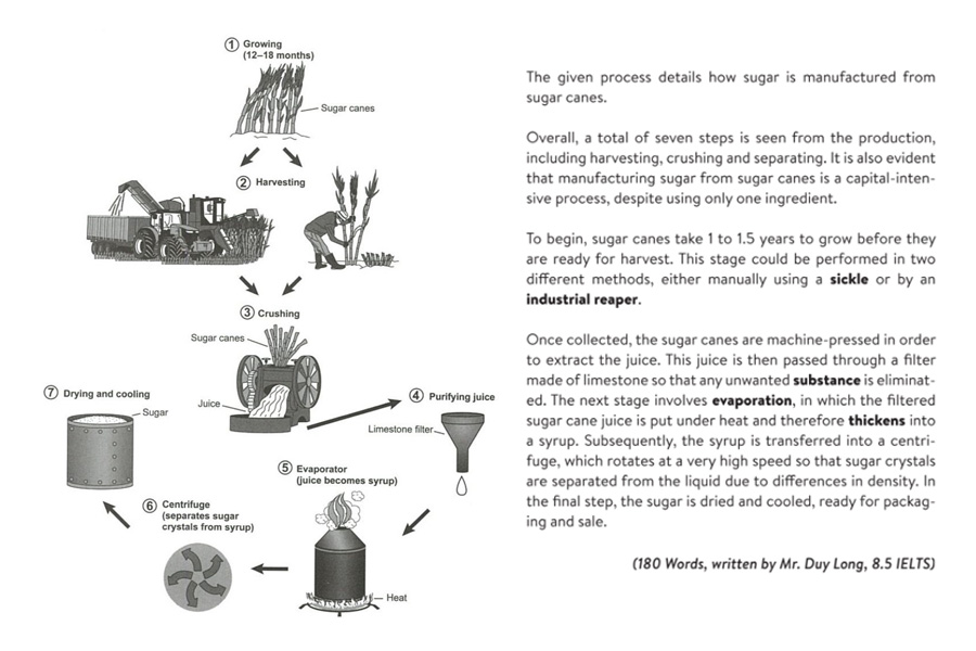 IELTS Writing Task 1 Process/ Diagram: Hướng dẫn & Bài mẫu