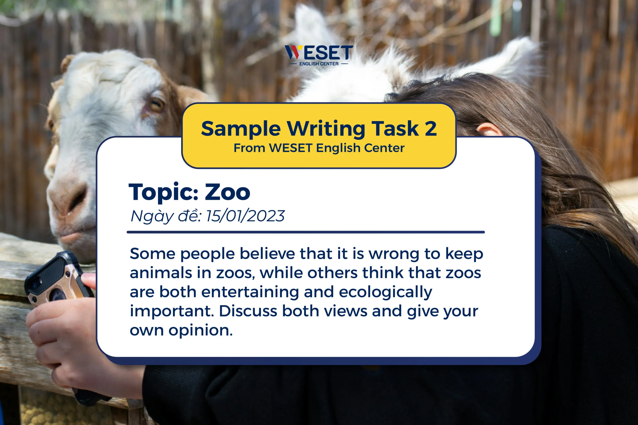Giải đề mẫu Writing Task 2 | Chủ đề: Adaptation