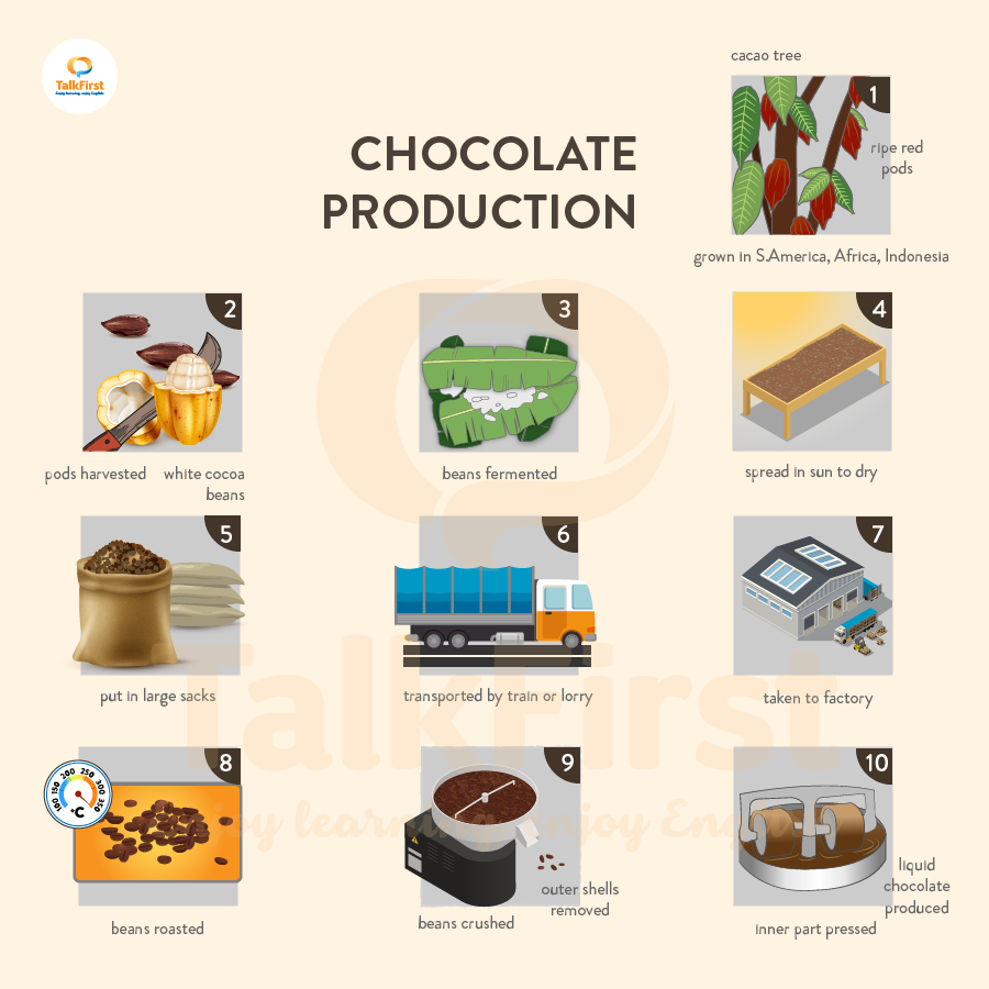 Giải đề Writing Task 2 ngày 16/01/2021 - Topic: Food