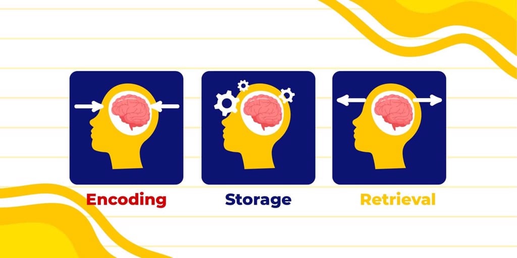 Cách tiếp nhận từ vựng và ghi nhớ với kỹ thuật học tập cho người học tiếng Anh