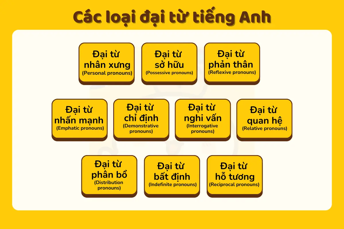 Đại từ là gì? Cách sử dụng đại từ trong tiếng Anh