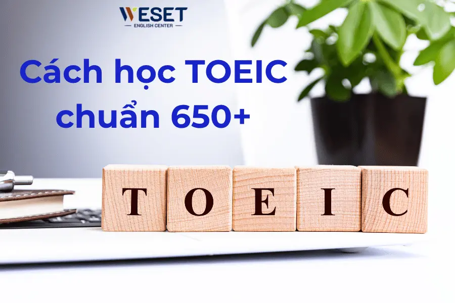TOEIC cho người mới bắt đầu – Lộ trình & khóa học cam kết 650+