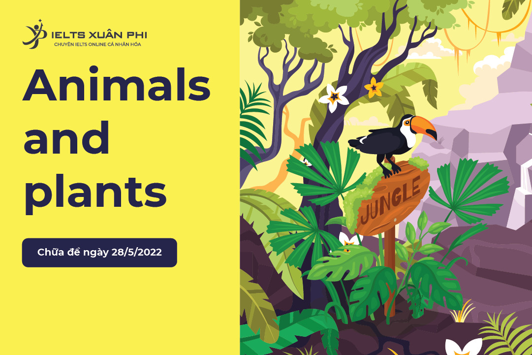Giải đề thi IELTS Writing Task 2 ngày 28/05/2022 | Topic: Human Activities