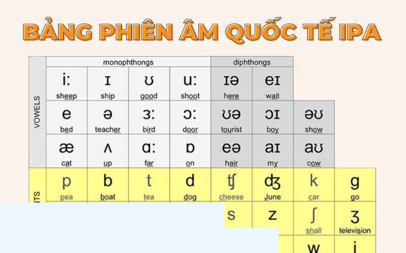 Học phát âm tiếng Anh bắt đầu từ đâu?