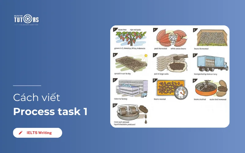 IELTS Writing Task 1 Process/ Diagram: Hướng dẫn & Bài mẫu