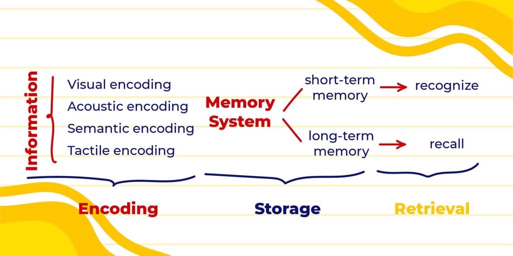 Cách tiếp nhận từ vựng và ghi nhớ với kỹ thuật học tập cho người học tiếng Anh