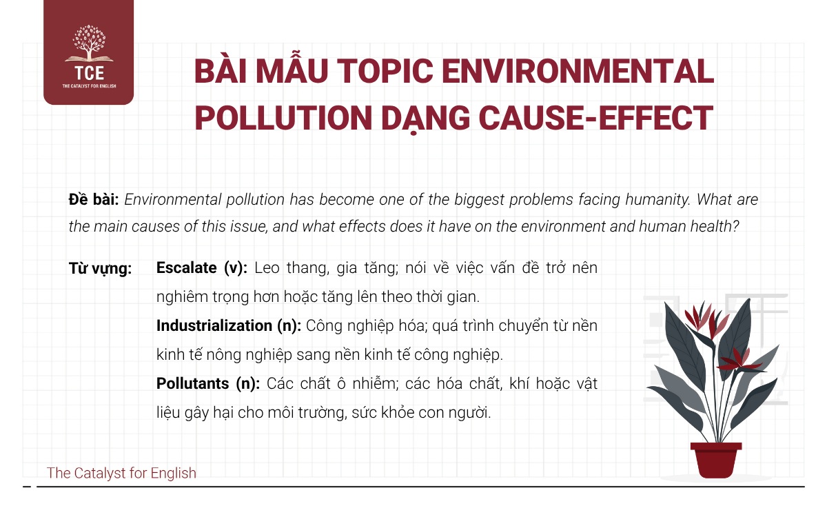 Bài mẫu Writing Task 2 - Dạng Cause & Solutions | Chủ đề: Environment