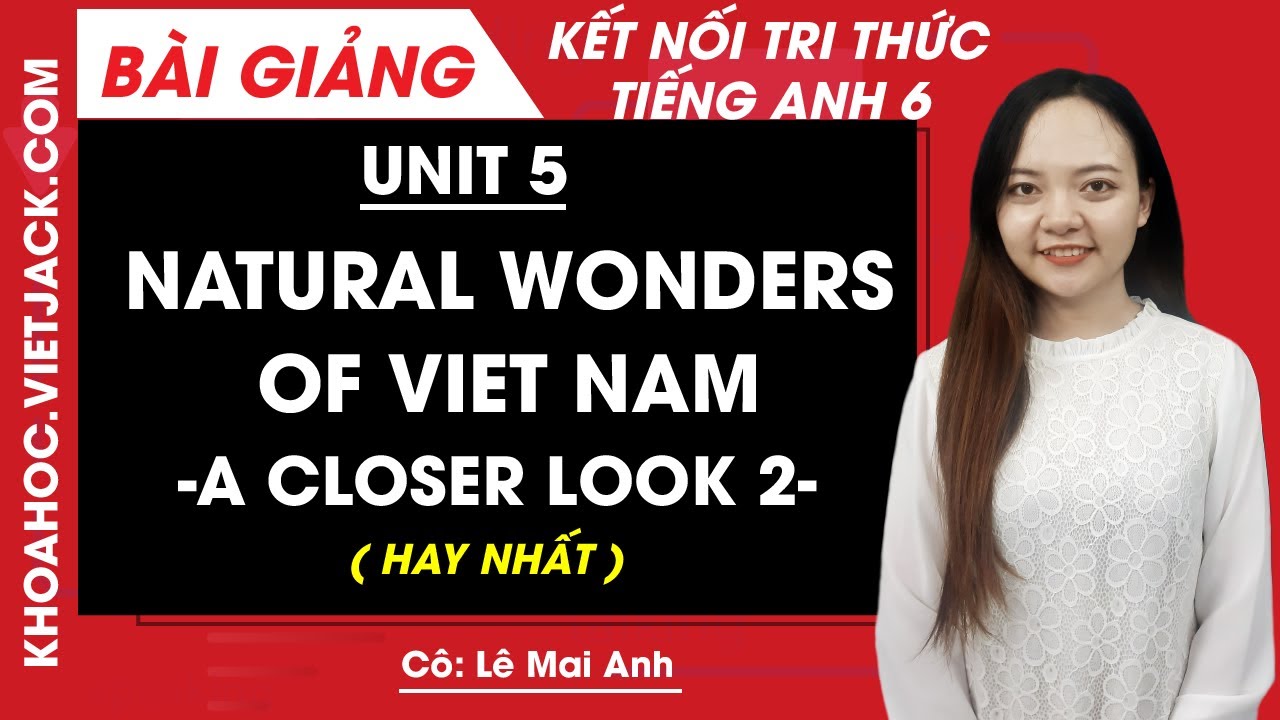 Từ vựng tiếng anh lớp 6 unit 5 a closer look 2 quan trọng? Học thuộc lòng siêu tốc!