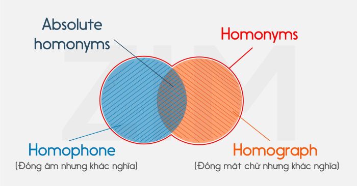 Homophone là gì? Tổng quan từ đồng âm trong tiếng Anh