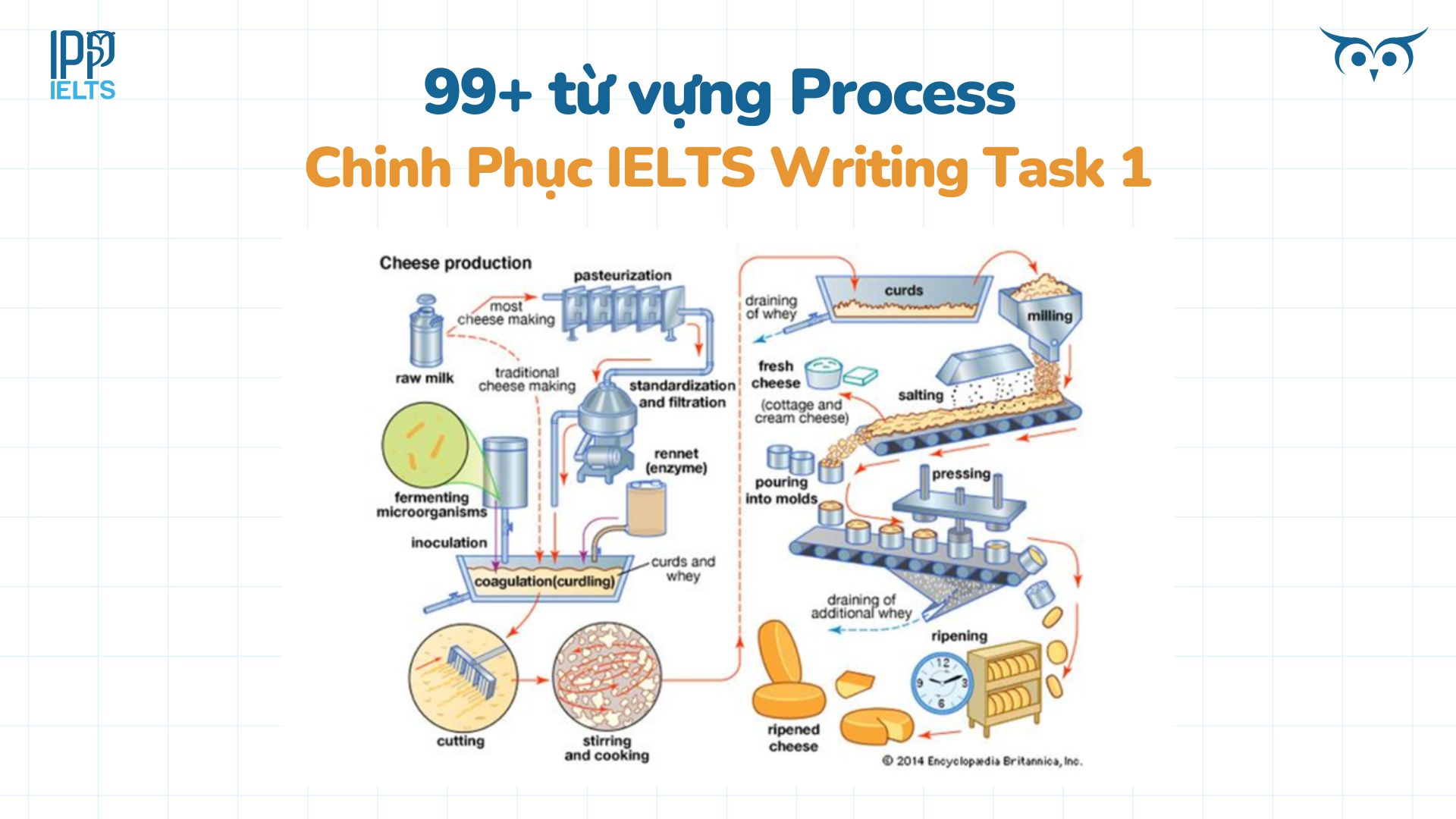 Task 1 IELTS writing Vocabulary - Từ vựng & Cấu trúc
