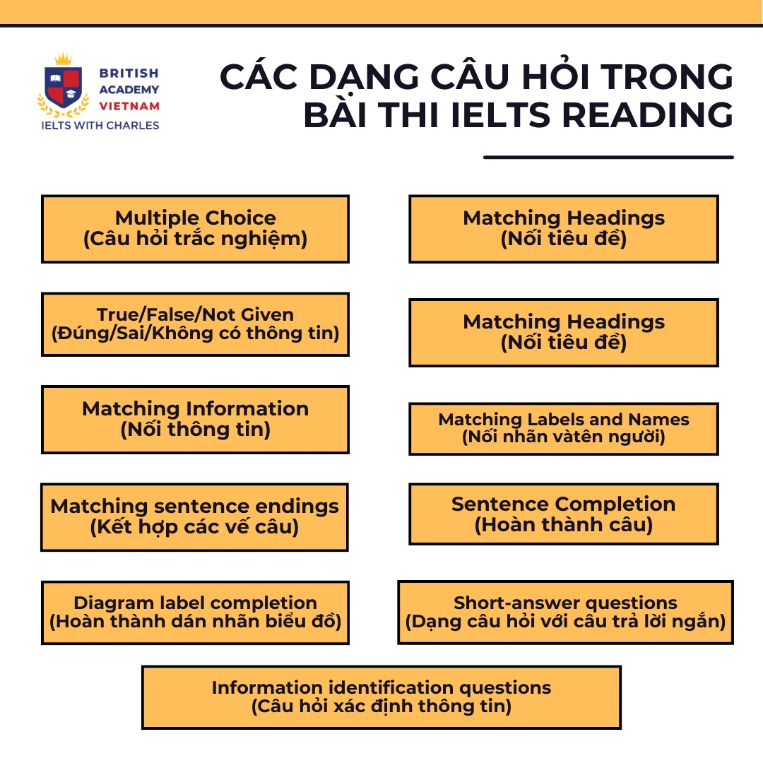 IELTS Reading: Cấu trúc, câu hỏi & bí quyết ôn luyện