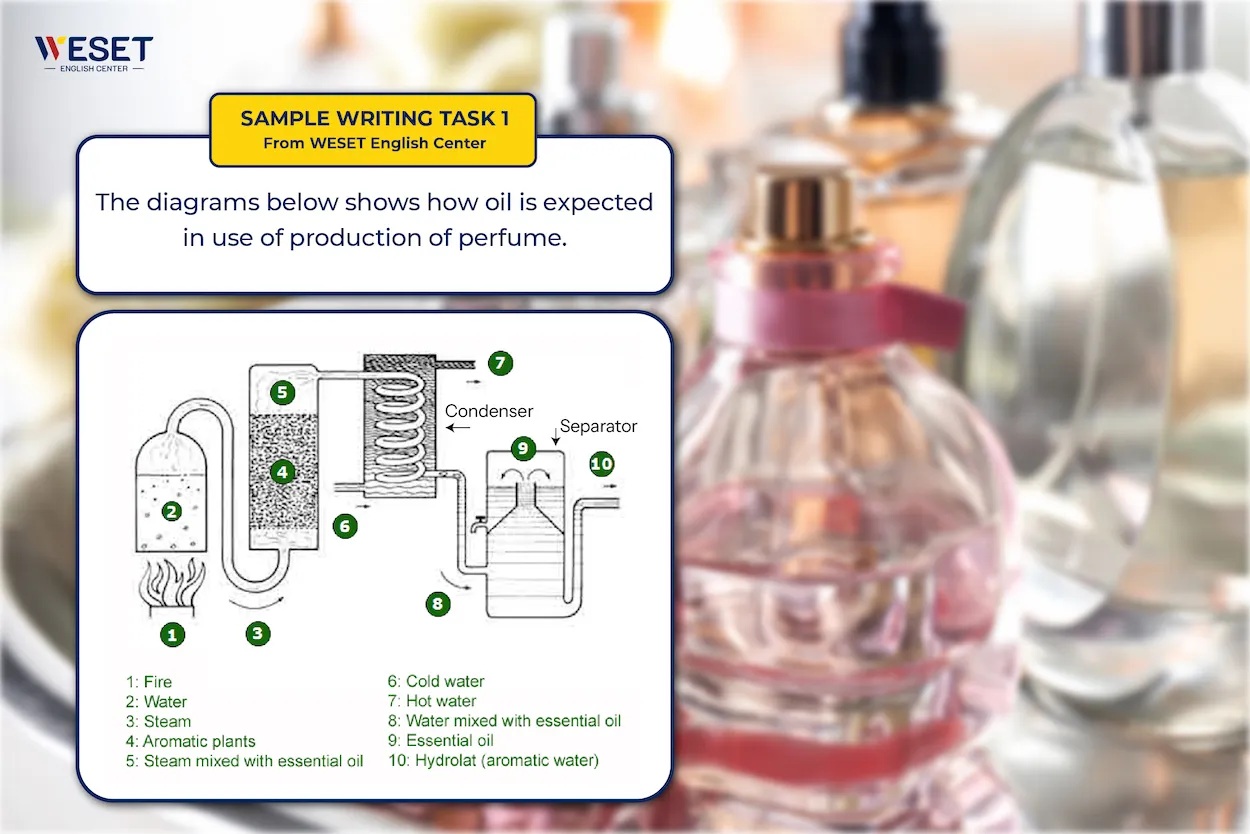 Giải đề mẫu Writing Task 1 dạng Process Perfume Oil | Đề ngày 13/10/2022