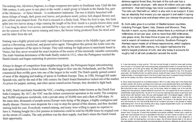 Yawning IELTS Reading & Mẹo làm bài hiệu quả