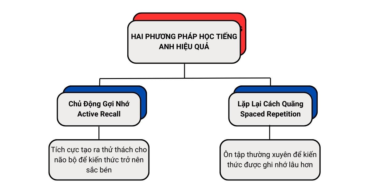 Active recall là gì? Áp dụng trong ôn thi & học tiếng Anh