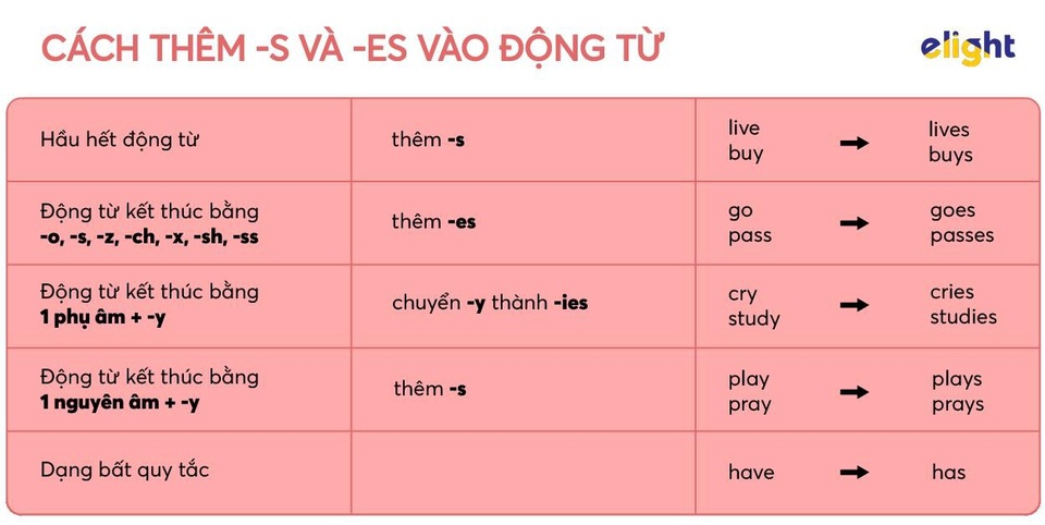 Chia động từ số ít, số nhiều theo chủ ngữ sao cho đúng?