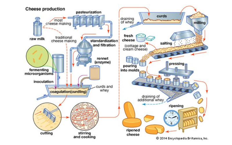 IELTS Writing Task 1 Process/ Diagram: Hướng dẫn & Bài mẫu