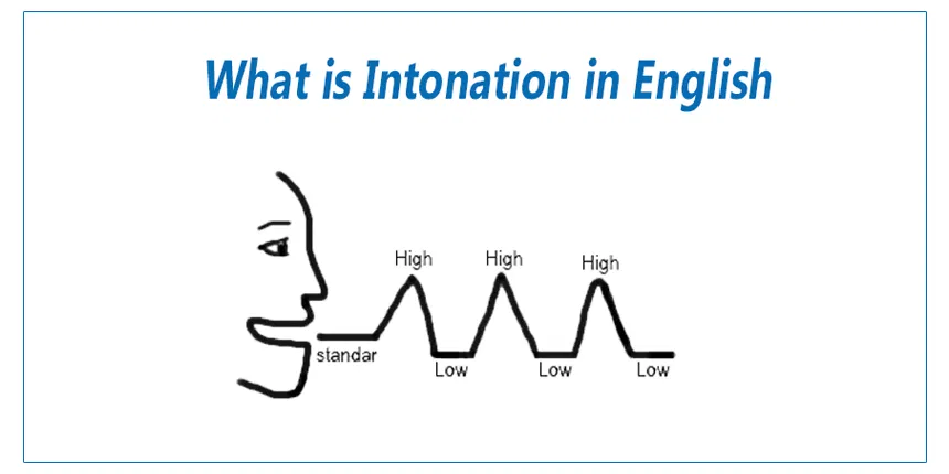 Intonation là gì? Tầm quan trọng của ngữ điệu trong tiếng Anh