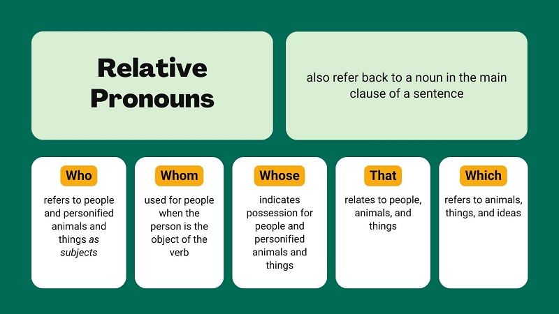 Whose dùng khi nào - Cẩm nang thành thạo từ A - Z