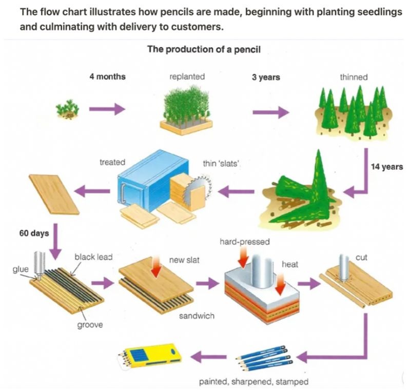 IELTS Writing Task 1 Process/ Diagram: Hướng dẫn & Bài mẫu