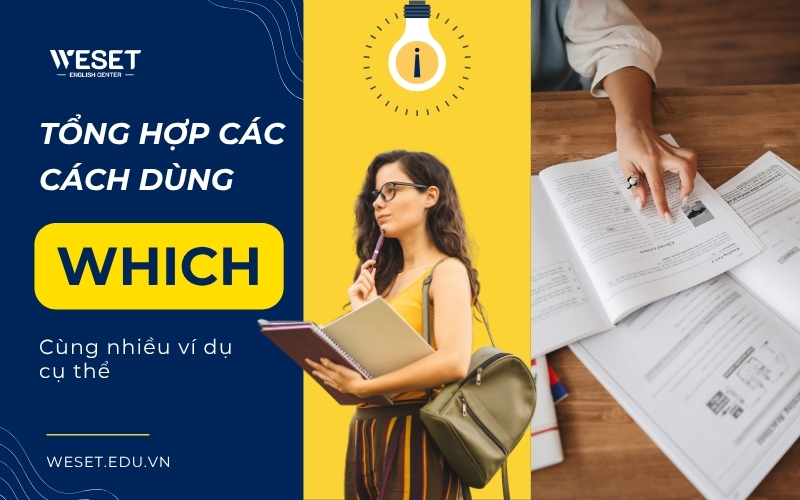 Tổng hợp các cách dùng Which cùng ví dụ cụ thể với