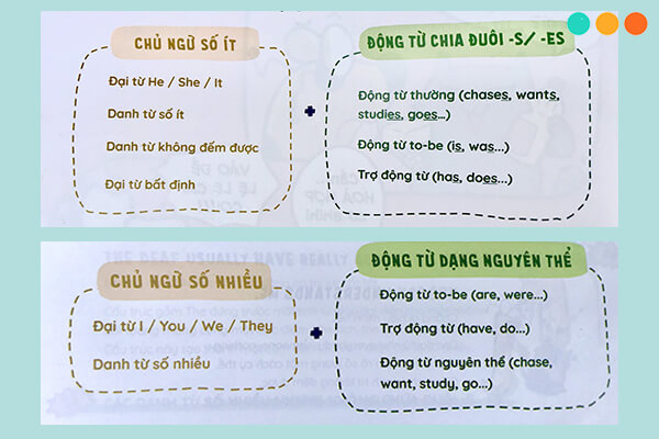 Chia động từ số ít, số nhiều theo chủ ngữ sao cho đúng?