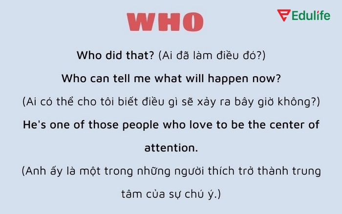 Whose dùng khi nào - Cẩm nang thành thạo từ A - Z