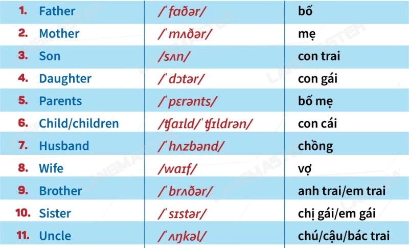 `Từ vựng tiếng anh cơ bản cho người mới học` quan trọng ra sao? (Bắt đầu từ đâu cho đúng?)