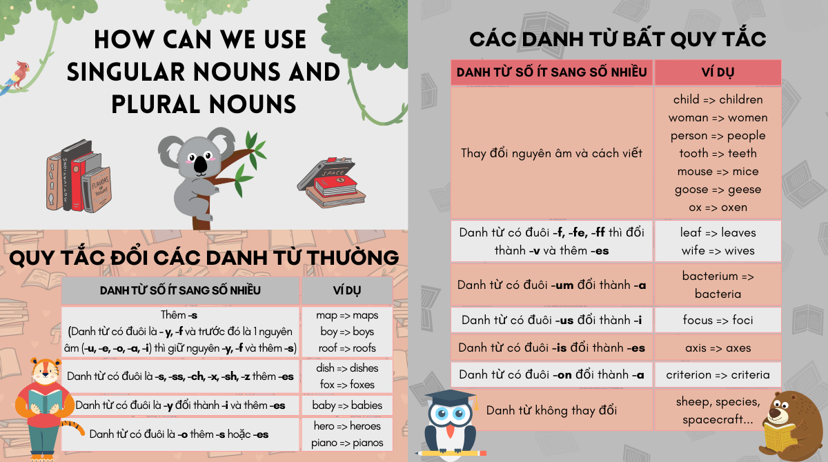 Lỗi sai thường gặp với danh từ số ít và số nhiều trong tiếng Anh và cách khắc phục.