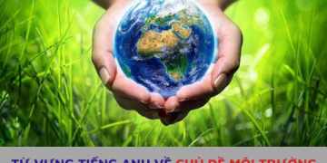 Tổng hợp những việc làm bảo vệ môi trường bằng tiếng Anh đơn giản nhất