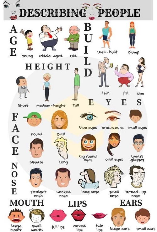 Ngoại hình trong tiếng Anh: Tổng hợp tính từ chỉ hình dáng con người