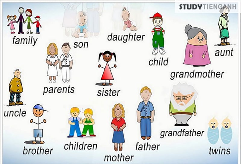 `Từ vựng tiếng anh cơ bản cho người mới học` quan trọng ra sao? (Bắt đầu từ đâu cho đúng?)