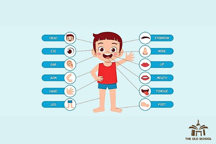 Học tiếng anh bằng hình ảnh theo chủ đề mỗi ngày (Cải thiện kỹ năng nhanh chóng bất ngờ)