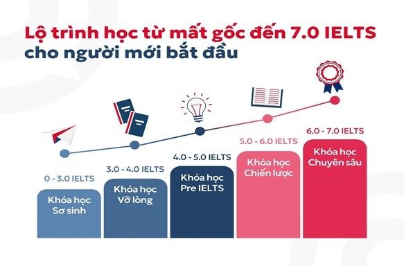 Lộ trình học IELTS: Từ người mới bắt đầu đến 7.0+