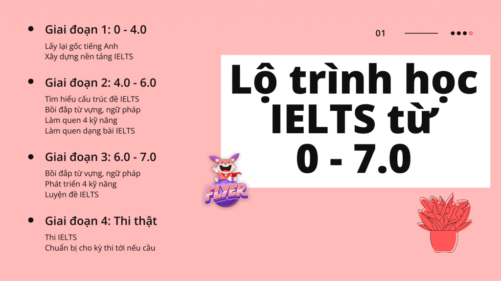 Lộ trình học IELTS: Từ người mới bắt đầu đến 7.0+