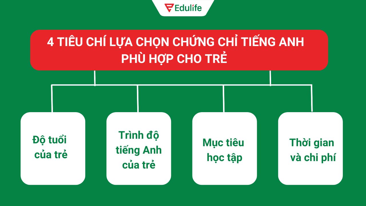 Các kỳ thi tiếng Anh cho trẻ em nào được công nhận rộng rãi? (Cập nhật mới nhất)