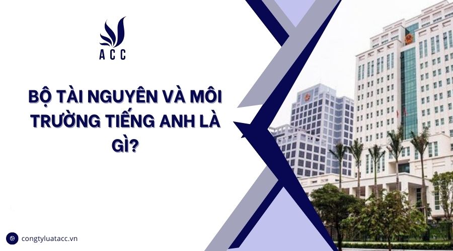 Sở Tài nguyên và Môi trường tiếng Anh là gì? Tìm hiểu từ A-Z!