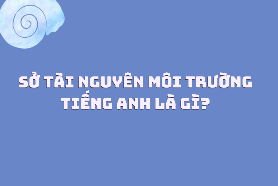Sở Tài nguyên và Môi trường tiếng Anh là gì? Tìm hiểu từ A-Z!