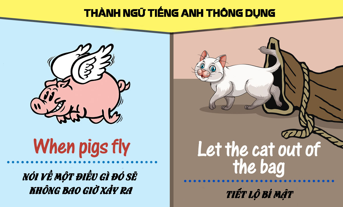 Thành ngữ tiếng Anh thông dụng hằng ngày: Cứu cánh cho giao tiếp mỗi ngày.