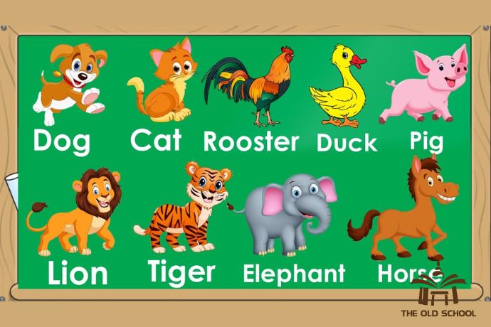 Bé học tiếng Anh con vật thế nào? Mẹ áp dụng ngay những cách này rất dễ.